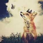 Dorene Cacace Fox - @faeryfoxmother - Instagram