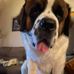 Dorene Don Fox - Facebook