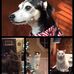 Dorene Lee - Facebook