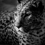 Dorene Sisson - Facebook