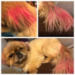 Dorene Smith - @dorene.smith.37 - Instagram