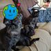 Dorene Smith - Facebook