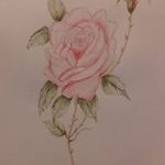 dorene willis - @willisdorene - Instagram