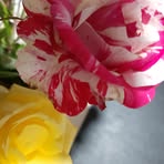Doresa Maria - Facebook
