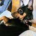 Dorothea Cooper - Facebook
