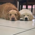Dori&brunospams - @doribruno123 - Instagram