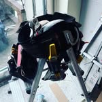 animalton_live - @team_dori_carpenter - Instagram