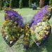 Dori Carpenter - Facebook