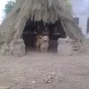 doricarrillo - @doricarrillo - TikTok