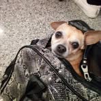 Dori Dorian - Facebook