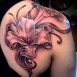 Doris Fields - @dorisfields6919 - Instagram