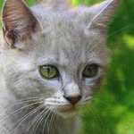 Doris Gilbert - @doris.gilbert.277504 - Instagram