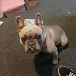 Martin Gilbert - @doris_dysongilbert - Instagram