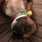 Dori Gregory - @todd_blankenship - Instagram