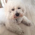Jack Dori - @jack_beans_dori - Instagram