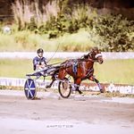 James Davidson - @james_dorigan - Instagram