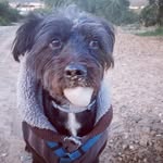 Dori la + perra - @dorilamejor6 - Instagram