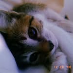 dori_la_mas_linda - @dori_la_mas_linda - Instagram