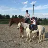 Doris Lambert282 - @dorislambert0 - TikTok