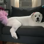 dori levine - @dal061770 - Instagram