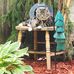 Dori Meyer - Facebook