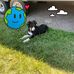Dori Mitchell - Facebook