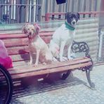 Dori Mora - Facebook