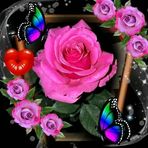 Dori Mora - Facebook