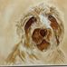 Dori Nelson - Facebook