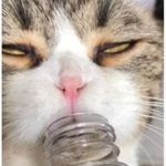 Dori Nelson - @strwberrimilkies - Instagram