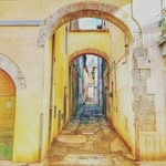 Pat - @dori.patrick - Instagram