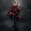 Dori Rivera655 - @doririvera655 - TikTok