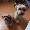 doririvera - @doririvera1950 - TikTok
