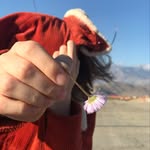 Dori Ross - @doriross_ - Instagram
