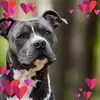 Doris Stein - @doris.stein - TikTok