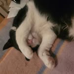 Doris Stein - @doris.stein.5 - Instagram