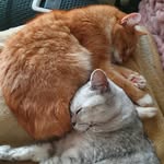 Doreen H - @dori_sternchen - Instagram
