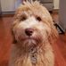 Dori Sullivan - Facebook