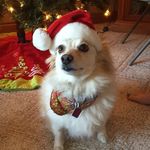 Dori Taylor - @dori7474 - Instagram