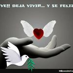 Dori Torres Martinez - @doritorresmartinez - Instagram