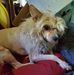 Dori Tyler - Facebook