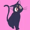 dorivillasanchez - @dorivillasanchez - TikTok