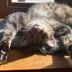 Dori Weiss - Facebook