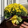 Doriwestman13 - @smile.14647 - TikTok