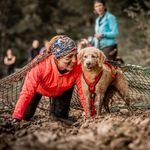 Tine Hartmann - @dori_aus_dem_westerwald - Instagram