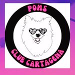 Sandra Doria Alvarez - @pomsclubcartagena - Instagram
