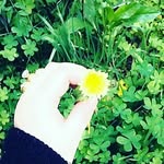 dodo - @doria_chenniki - Instagram