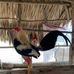 Wilson Doria Hernandez - Facebook