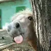 dorianaelio - @dorianaelio - TikTok