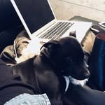 Dorian Bady - @dorianbady - Instagram